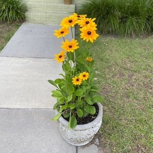 Meet your Posher, Ciara